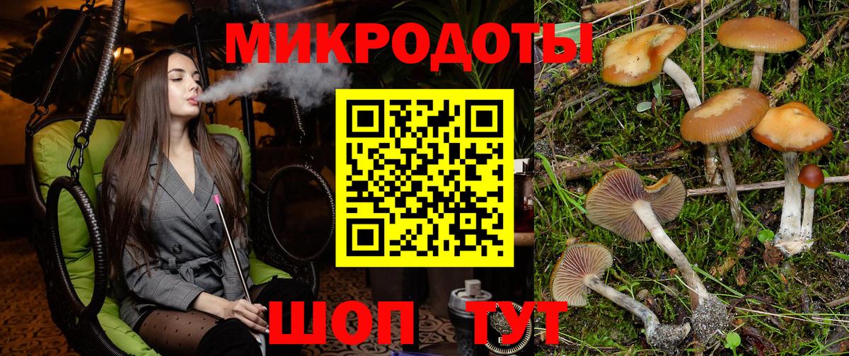 Псилоцибиновые грибы прущие грибы Лосино-Петровский