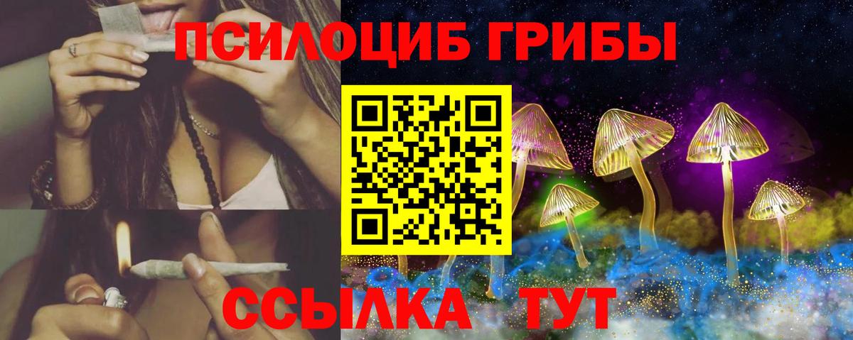 где можно купить наркотик  Галлюциногенные грибы ЛСД  Вход с VPN  Лосино-Петровский  Псилоцибиновые грибы Cubensis 